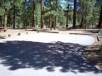Logger Campground