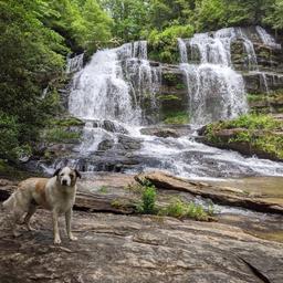 Chattooga River Lodge and Campground