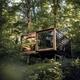 Single modern cabin elevated among trees — shows the on-site treehouse-style accommodation and surrounding forest (site homepage/promotional image).