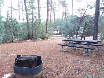 Timber Camp Rec. Area And Group CG: Campsite