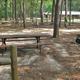 Open campsite area showing picnic table, fire ring and multiple marked sites among trees — good overview of typical tent/RV sites and the campground layout; image hosted on the site map/rules pages.