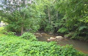 The WildWood