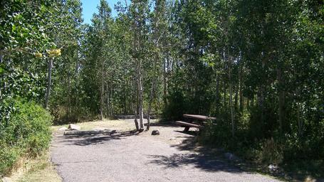 Angel Creek