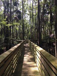 Campground image 2