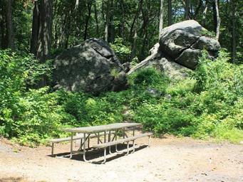 Jugtown Mountain Campsites