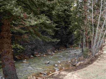 Lostfork Basecamp