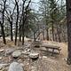 Wild Cow Springs Campground picnic tables
