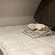 Family RV with bunk beds, queen bed, and more!
