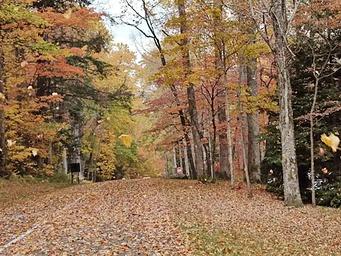 Cosby Campground