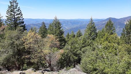 Pine Mountain Lookout