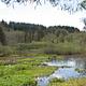 Brown Creek pond loop trail