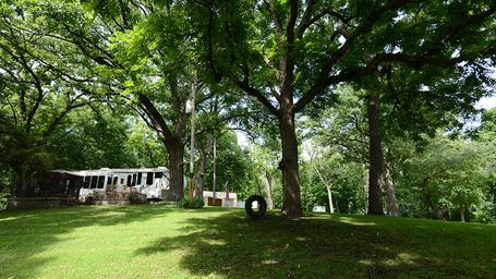 Campground scene with RV parked among mature trees, grassy area and play tire — shows typical RV campsite and wooded setting (from main site photos).