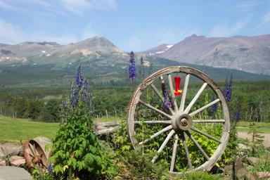 Bison Creek Ranch