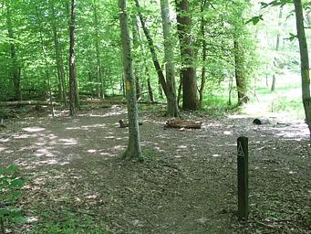 Chopawamsic Backcountry Camping Permits
