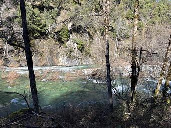 Dillon Creek Feb 2026