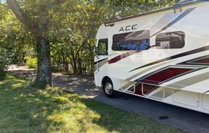 2020 Thor Motor Coach ACE 30.4 (Wander Woman)