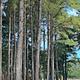 Kickin' Back Acres RV Campground