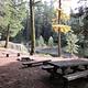 Picnic table in front of campfire ring and benches on a slope overlooking a forested backdrop.