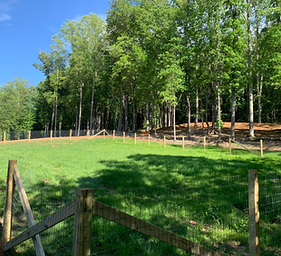 Heaven in the Hills Campground