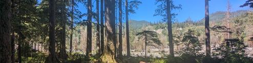 Gold Basin Campground