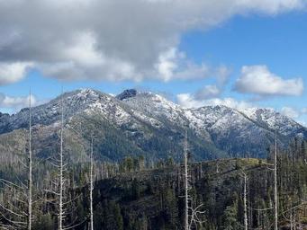 Bear Basin Cabin & Lookout