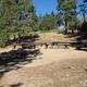 Lobo Group Campground Picnic Tables