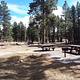 Picnic area with camp grills.