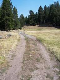 LORISTICA GROUP CAMPGROUND