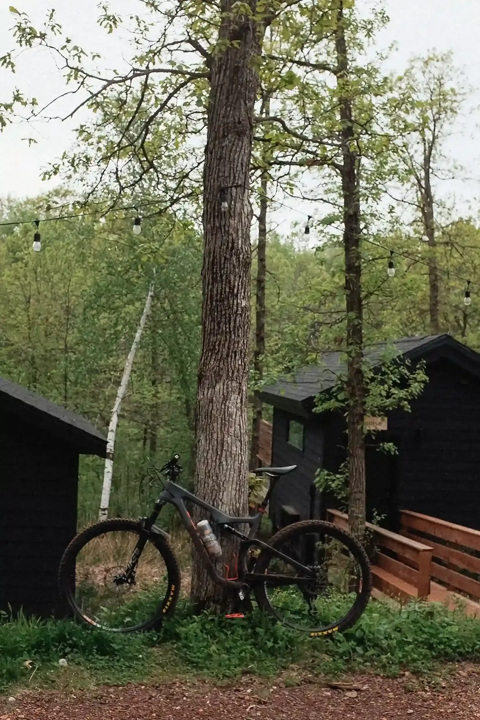 Cuyuna Cove