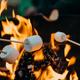 Close-up of a campfire with marshmallows roasting — depicts onsite campfire experience and guest amenities commonly highlighted for the campground (used on the property pages promoting camp activities).