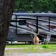 Campspot slideshow image 5