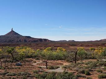 Panoramic view of the desert campground with a ribbon of cottonwood trees and Six Shooter Peak in the background.