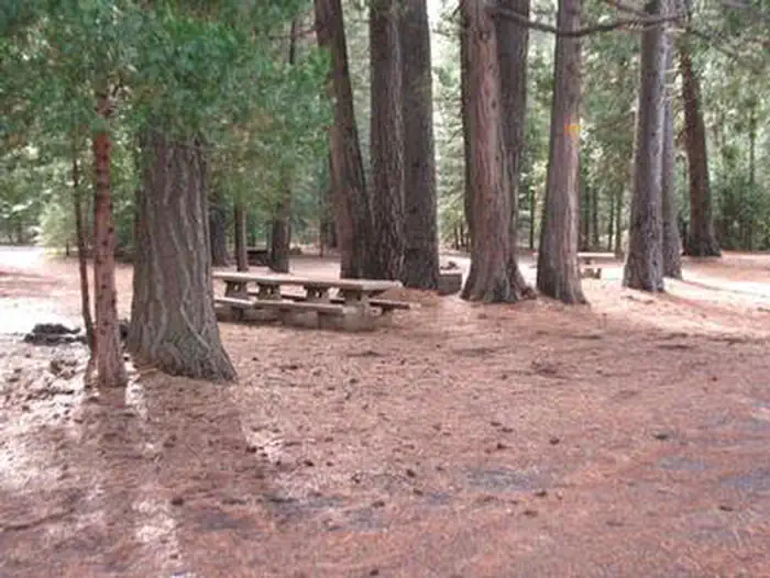 Camp 4 Group Campground