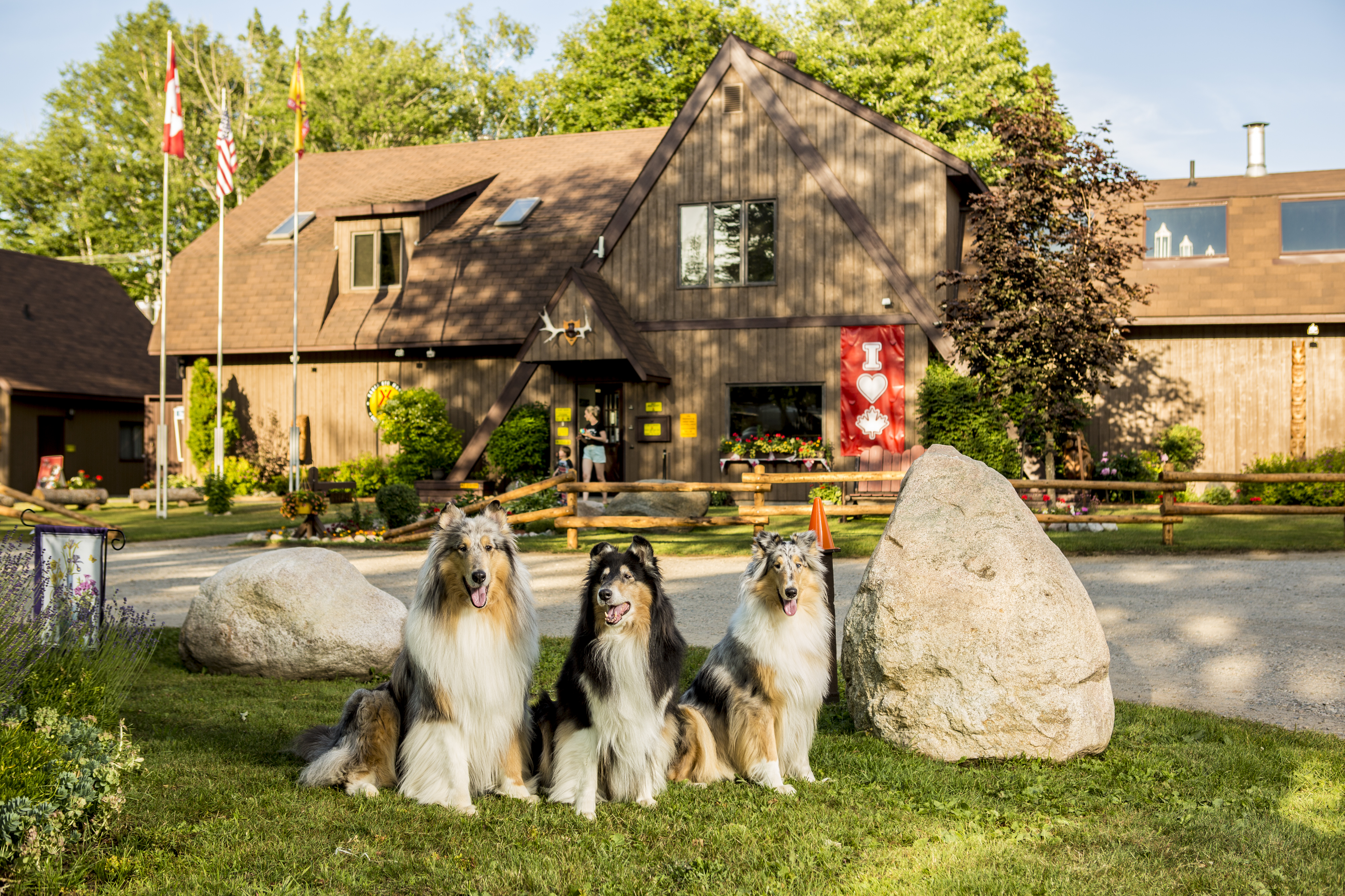 Sault Ste. Marie KOA Holiday