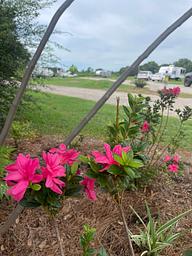 Cajun Acres RV Park