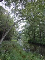 Chopawamsic Creek in the backcountry area
