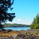 Scenery at Steamer Bay Cabin showing trees and water