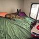 Tim and Kelsey’s Bunkbed & Queen
