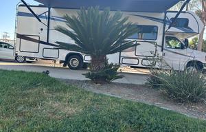 Family Fun Mobile