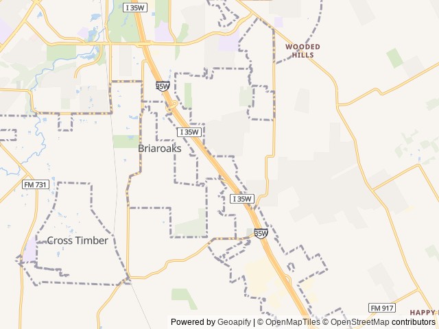 Map of Buffalo Ridge location at Burleson, TX, United States