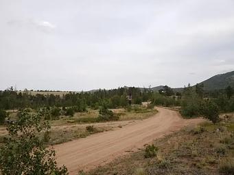 Yellow Pine CG near site 15