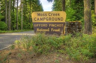 Moss Creek campground