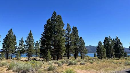 Christie Campground