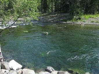 Caribou Creek Cabin Nearby River