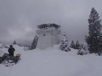 CALPINE LOOKOUT