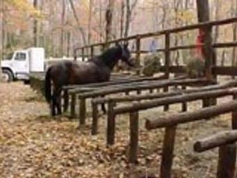 Round Bottom Horse Camp