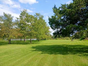 Bayou Campground -A grassy park area with scattered trees under a partly cloudy sky; a bench is visible in the distance near the trees.
