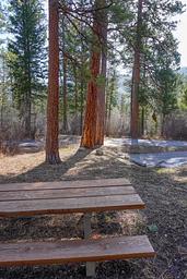 INDIAN TREES CAMPGROUND  Campsite Table Scene