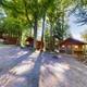 Row of small rental cabins with picnic tables and fire rings under trees — useful to show cabin accommodations on the property.