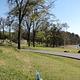 Cowhide Cove
